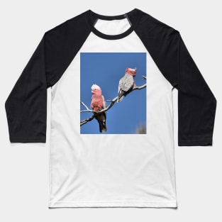 Australian Galahs at Yourambulla Baseball T-Shirt